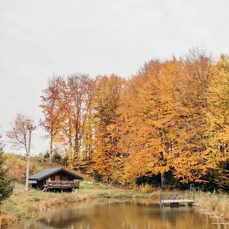 Lodge Dolyna Mykolaya