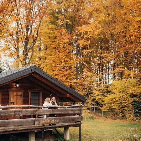 Lodge Dolyna Mykolaya Migovo