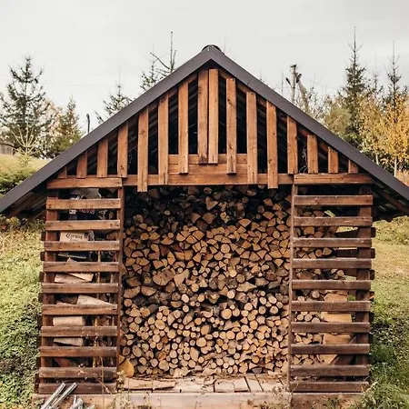 ロッジ Dolyna Mykolaya *