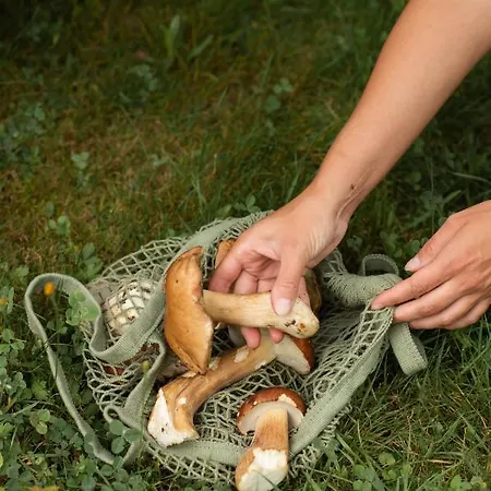 Dolyna Mykolaya Lodge