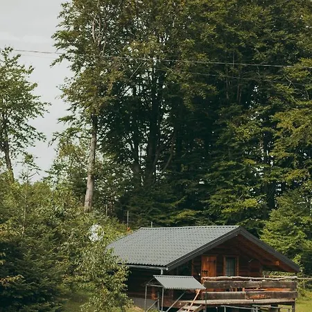 Dolyna Mykolaya * ミホヴォ