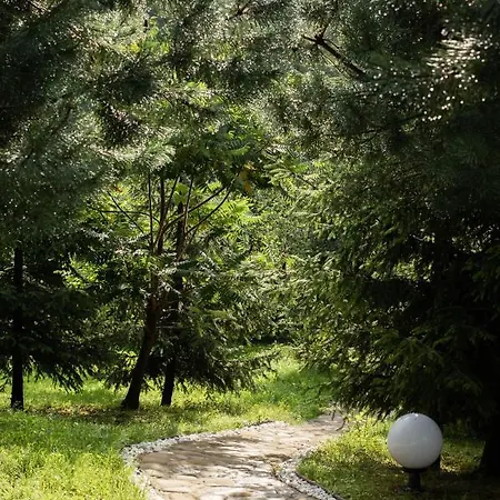 Dolyna Mykolaya Lodge Migovo