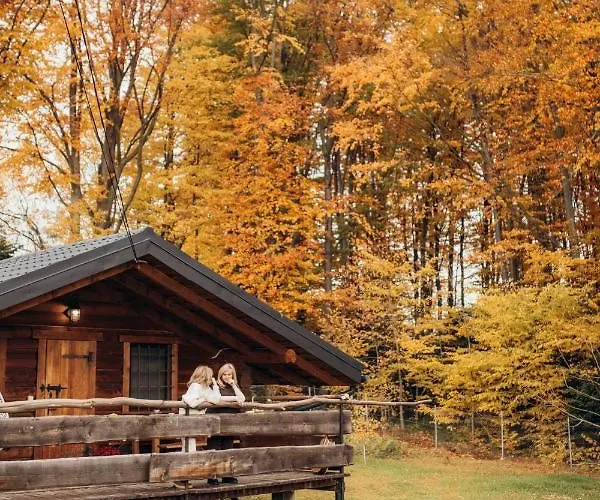 Lodge Dolyna Mykolaya Migovo
