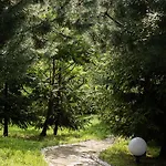 Dolyna Mykolaya Деревянный коттедж Мигово