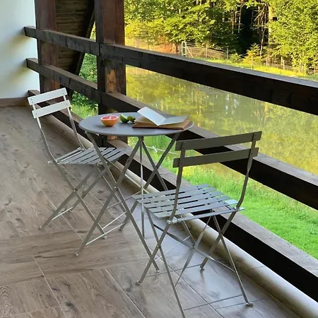 Dolyna Mykolaya 山林小屋