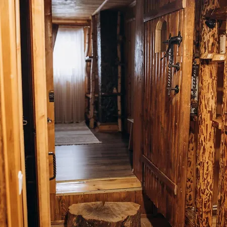 Dolyna Mykolaya 山林小屋 *