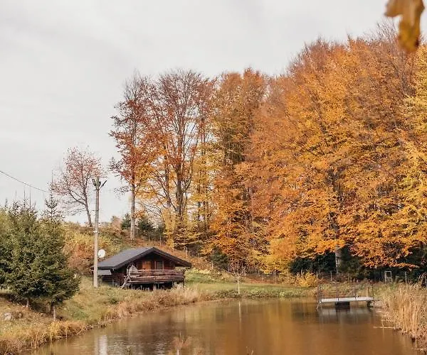 Dolyna Mykolaya Orman Evi *
